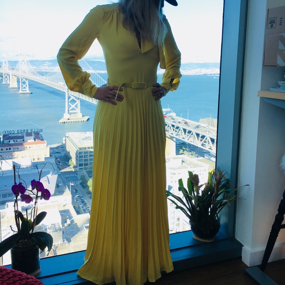 NEW Veronique Branquinho Evening Gown